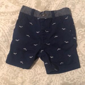 Nautica whale shorts